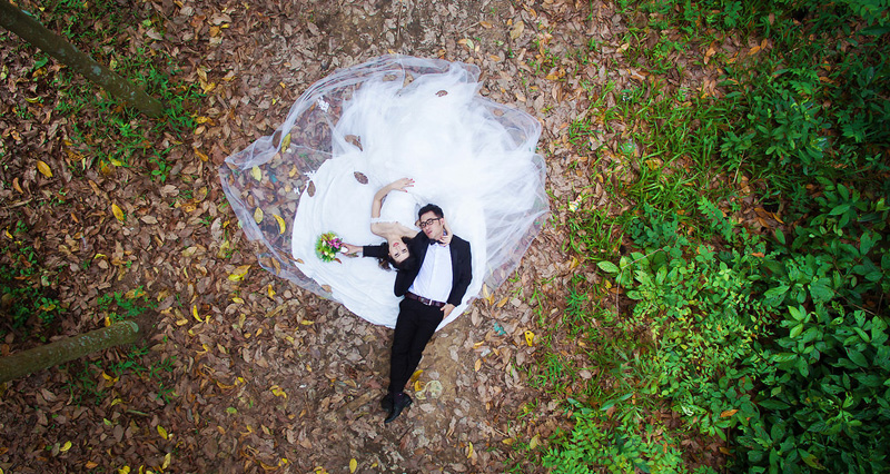 Flycam Cho Người Mới Bắt Đầu: Bước Đầu Chinh Phục Bầu Trời